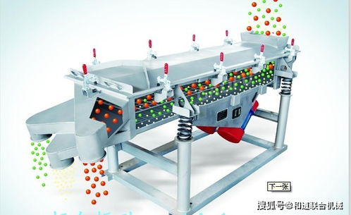 振动筛激振器偏心块在外力作用下的相对运行与电子机械设备租赁探索
